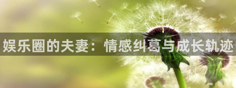 okooo澳客4开户：娱乐圈的夫妻：情感纠葛与成长轨迹