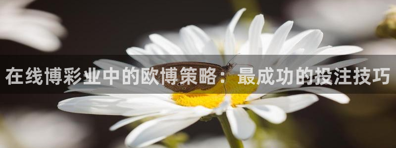 okooo澳客体育注册代理：在线博彩业中的欧博策略：最成功的投注技巧
