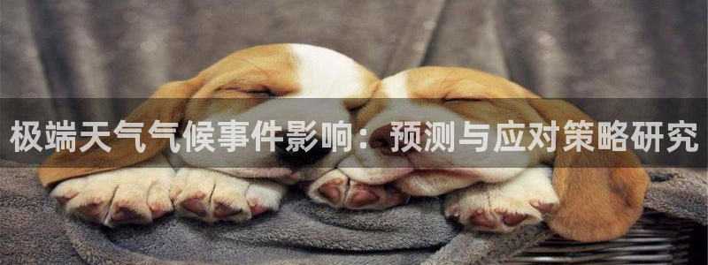 okooo澳客3登录：极端天气气候事件影响：预测与应对策略研究