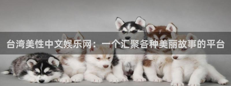 okooo澳客体育老板是谁：台湾美性中文娱乐网：一个汇聚各种美丽故事的平台