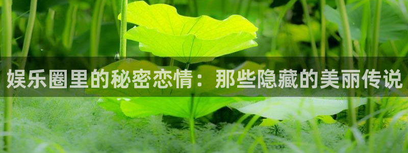 okooo澳客平台开户：娱乐圈里的秘密恋情：那些隐藏的美丽传说
