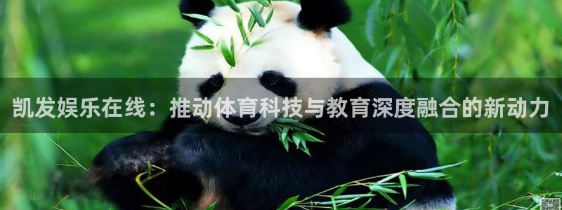 okooo澳客招商：凯发娱乐在线：推动体育科技与教育深度融合的新动力