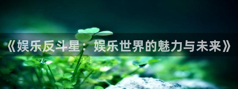 东莞市okooo澳客电子科技有限公司：《娱乐反斗星：娱乐世界的魅力与未来》