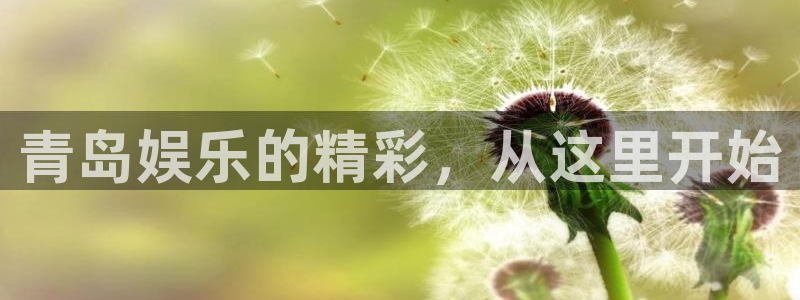 okooo澳客f凯捷注册：青岛娱乐的精彩，从这里开始