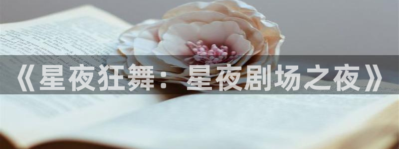okooo澳客包怎么样：《星夜狂舞：星夜剧场之夜》