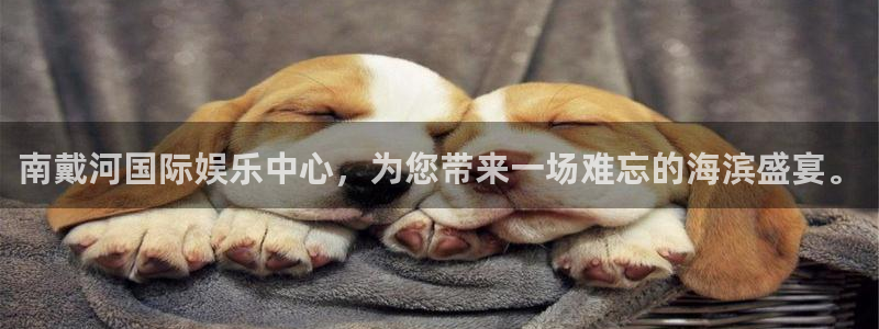 okooo澳客体育2：南戴河国际娱乐中心，为您带来一场难忘的海滨盛宴。