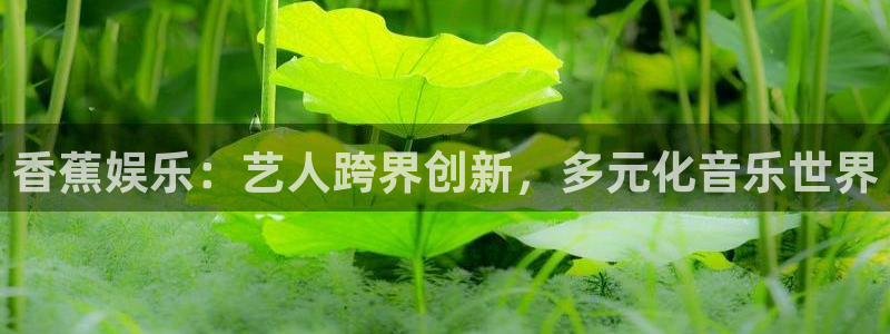 okooo澳客体育老板是谁：香蕉娱乐：艺人跨界创新，多元化音乐世界