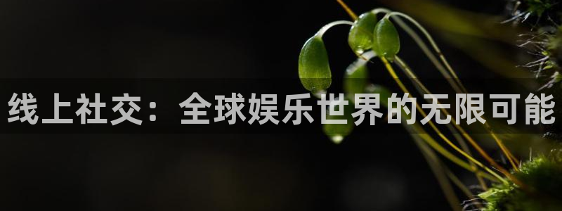 okooo澳客平台总代理：线上社交：全球娱乐世界的无限可能