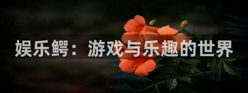 okooo澳客体育凯捷平台注册：娱乐鳄：游戏与乐趣的世界