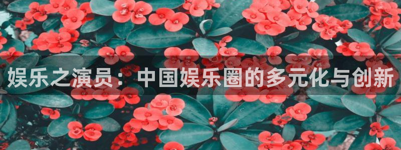 okooo澳客4登录：娱乐之演员：中国娱乐圈的多元化与创新