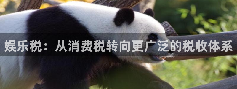 okooo澳客3登录：娱乐税：从消费税转向更广泛的税收体系