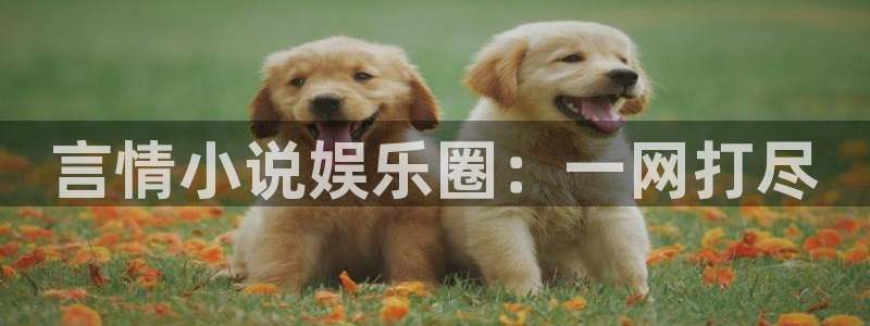 okooo澳客零能源集团：言情小说娱乐圈：一网打尽