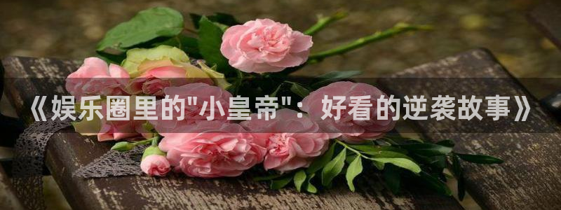okooo澳客体育官网登录：《娱乐圈里的\
