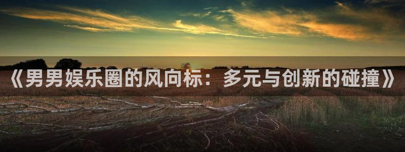 okooo澳客4开户：《男男娱乐圈的风向标：多元与创新的碰撞》
