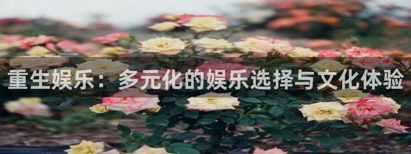okooo澳客代理注册官网入口：重生娱乐：多元化的娱乐选择与文化体验