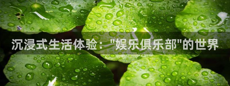 okooo澳客4平台：沉浸式生活体验：\