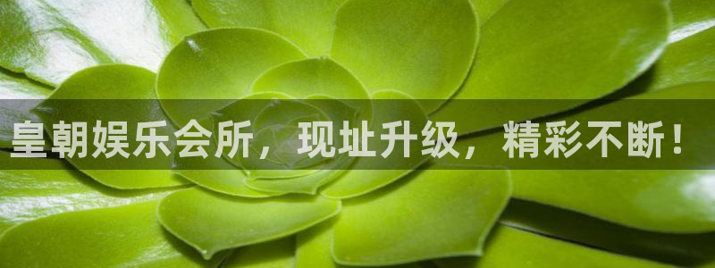 okooo澳客4开户：皇朝娱乐会所，现址升级，精彩不断！