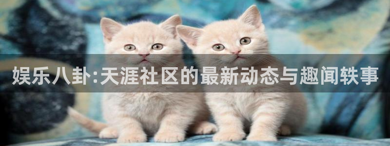 okooo澳客体育凯捷平台代理：娱乐八卦:天涯社区的最新动态与趣闻轶事